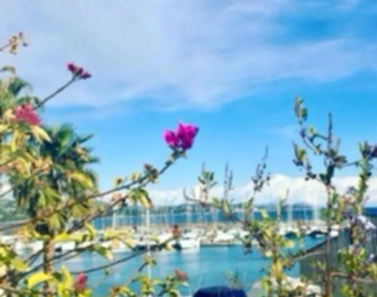 Logement Atypique Golfe De Saint Tropez 船屋